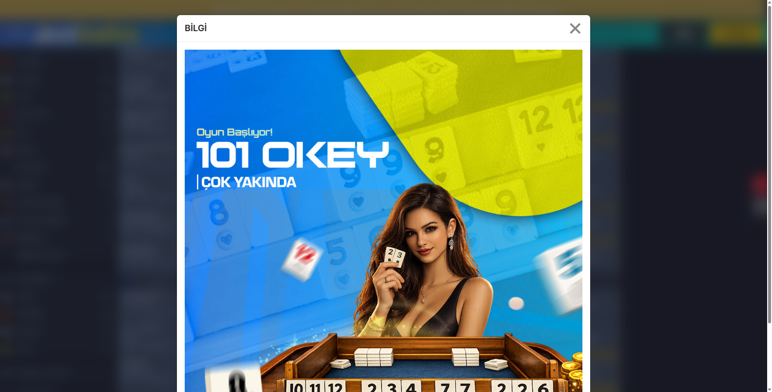 Jestbahis Çarkıfelek